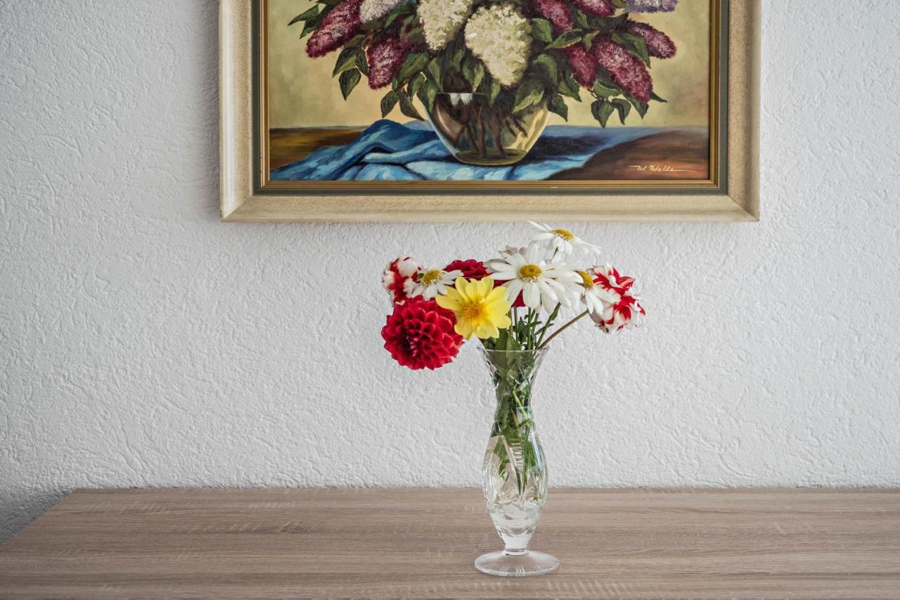 Ferienwohnung Insel 赖歇瑙 外观 照片