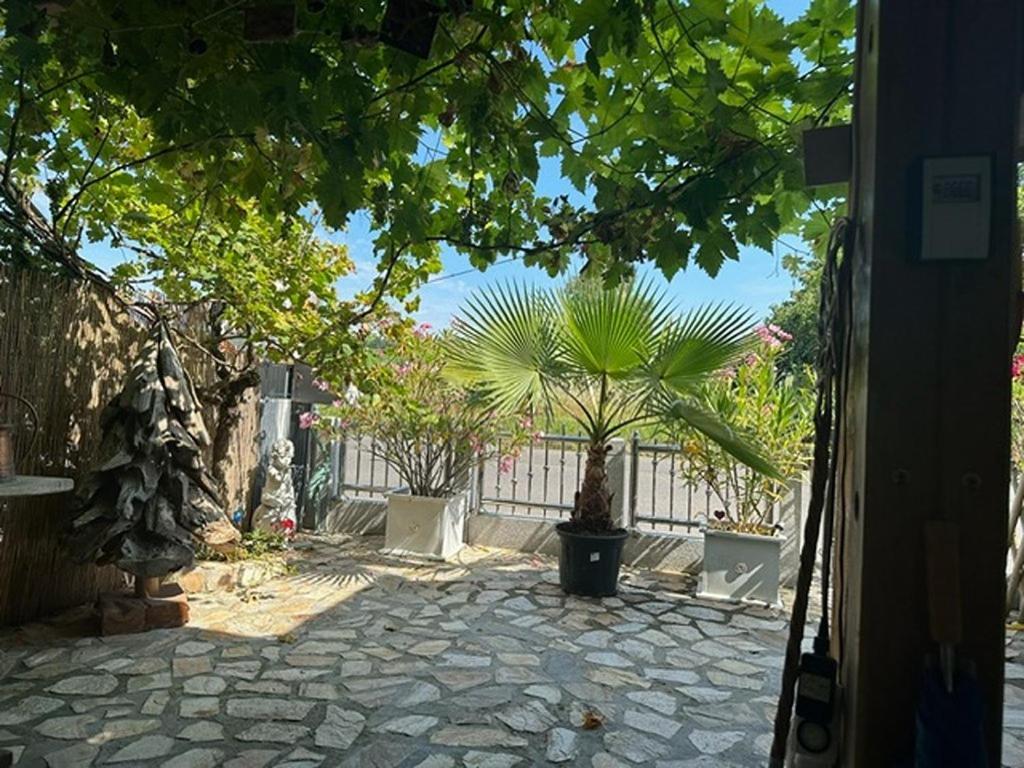 Ferienwohnung Insel 赖歇瑙 外观 照片
